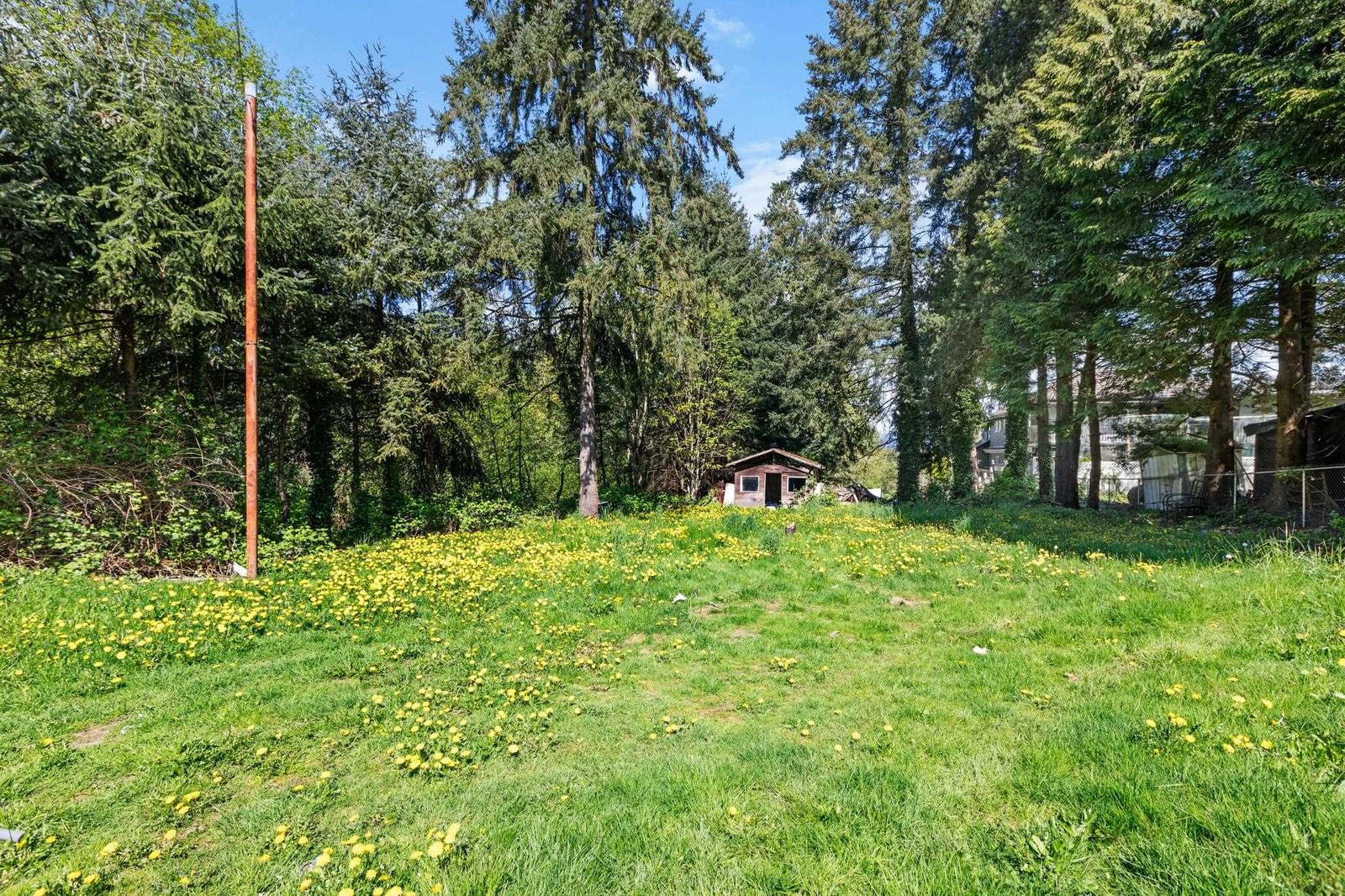 Listing Image 27
