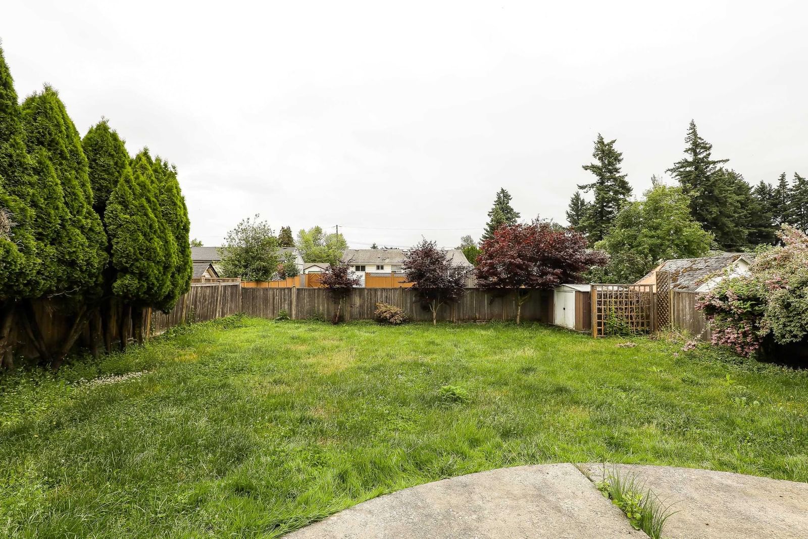 Listing Image 29