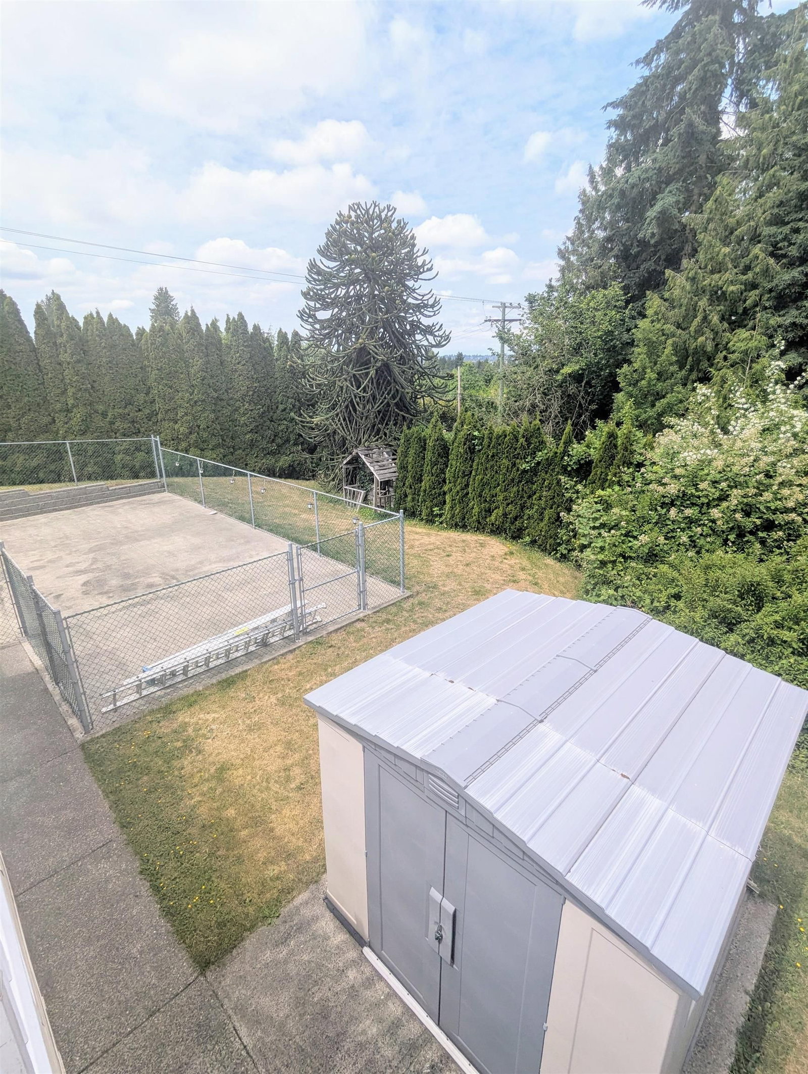 Listing Image 22