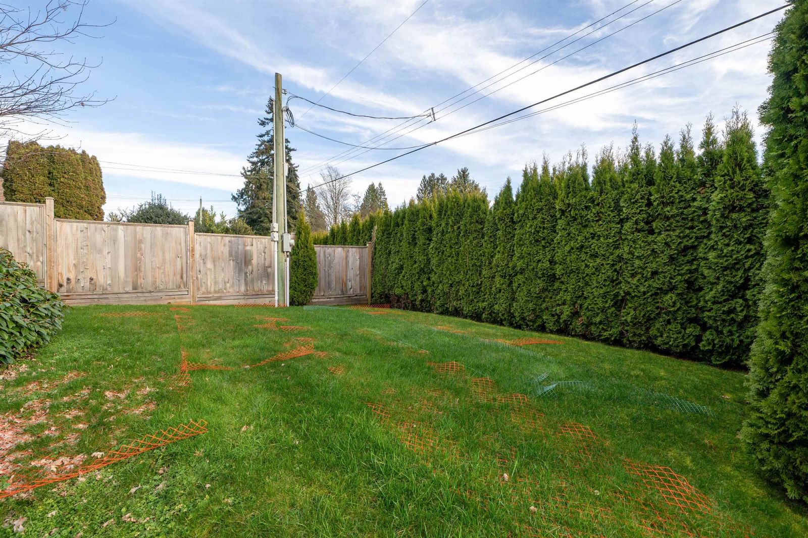 Listing Image 34