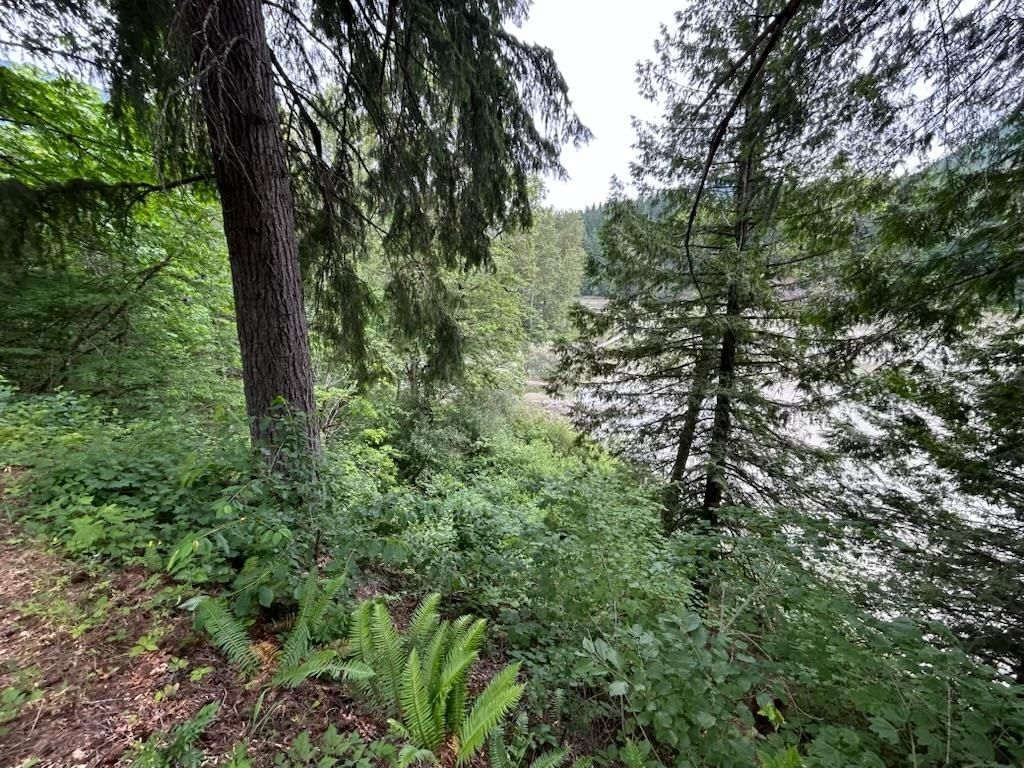 Listing Image 26