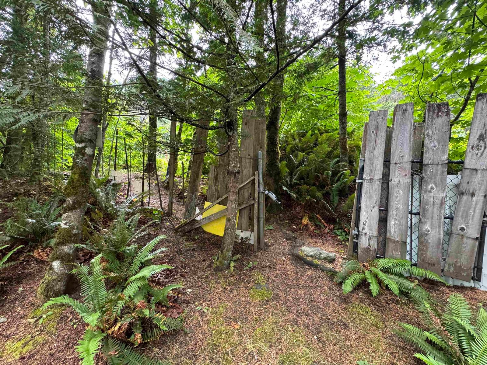 Listing Image 27