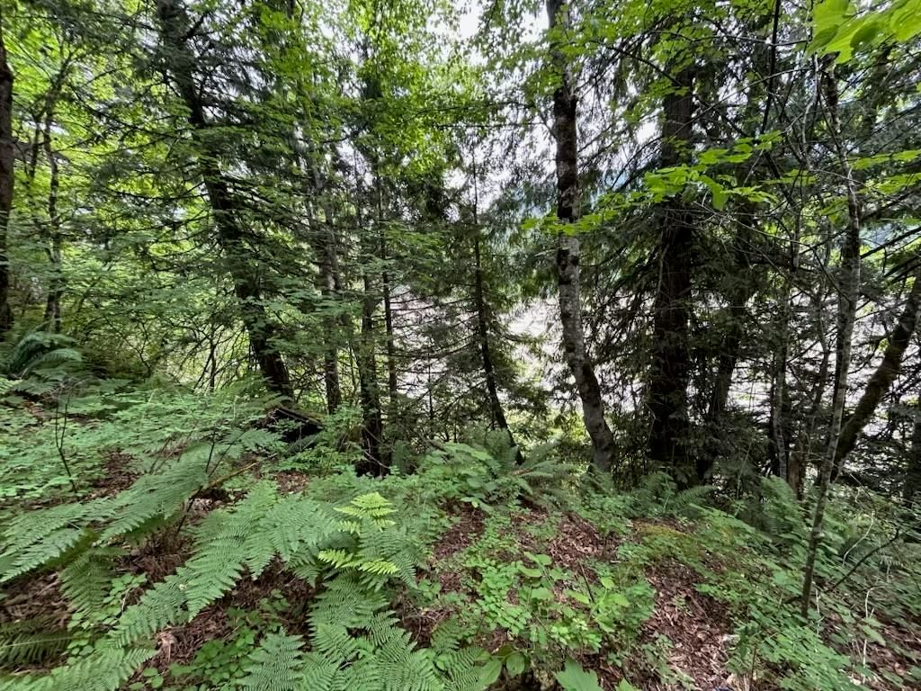 Listing Image 28