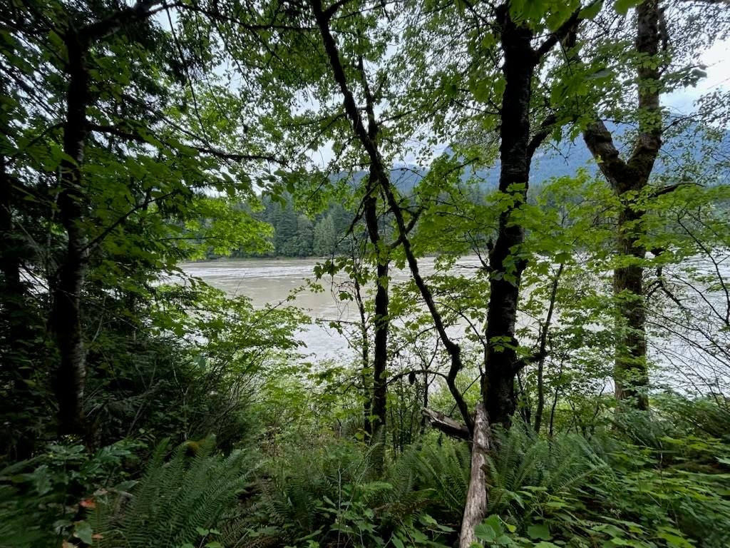 Listing Image 29