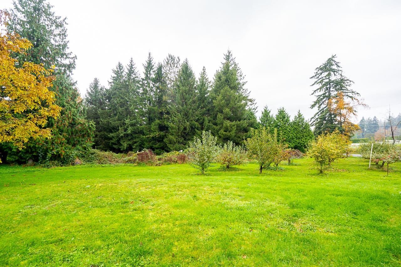 Listing Image 22