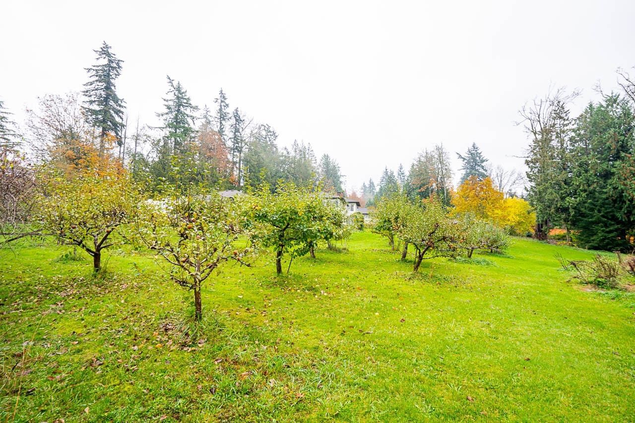 Listing Image 24