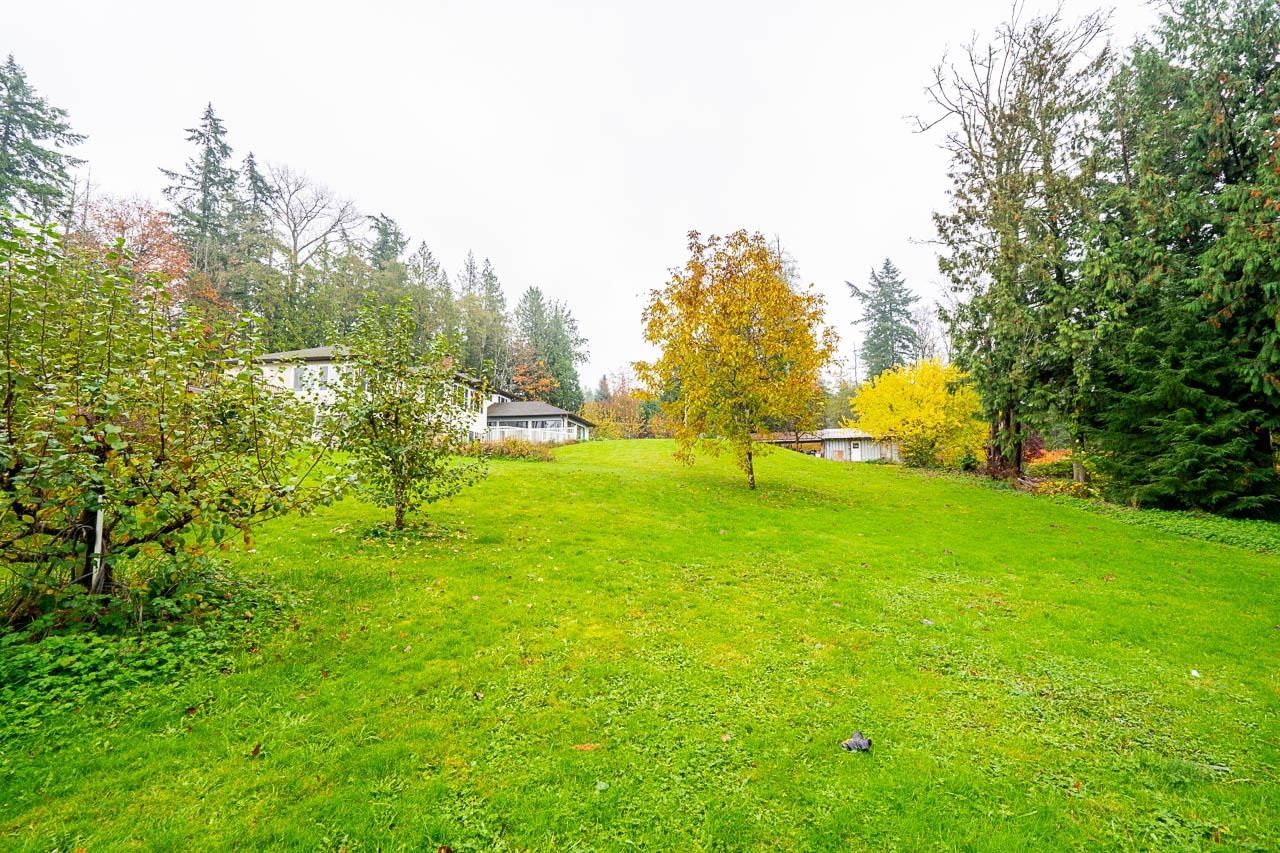 Listing Image 25