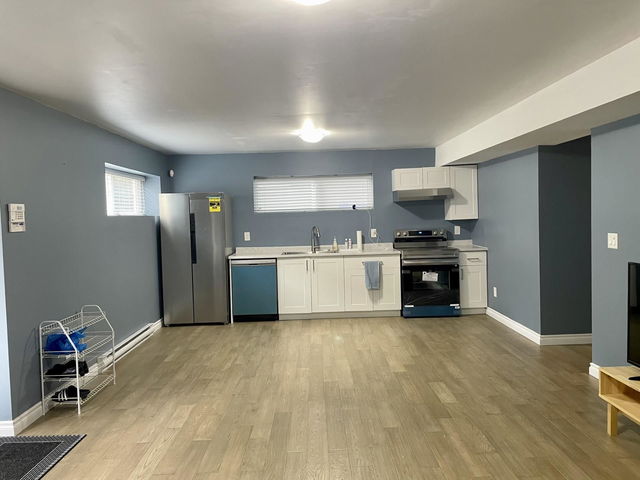 Basement - 21662 91 Avenue