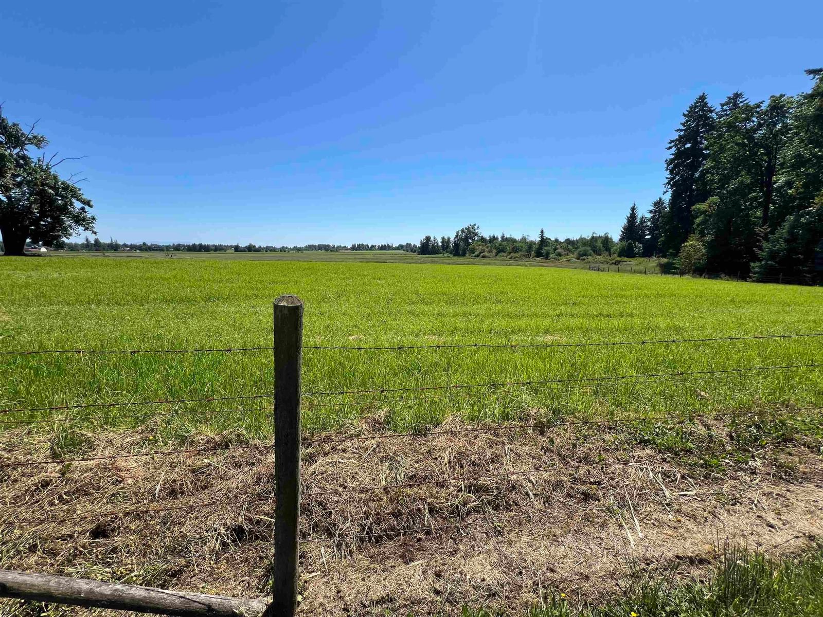 Listing Image 30