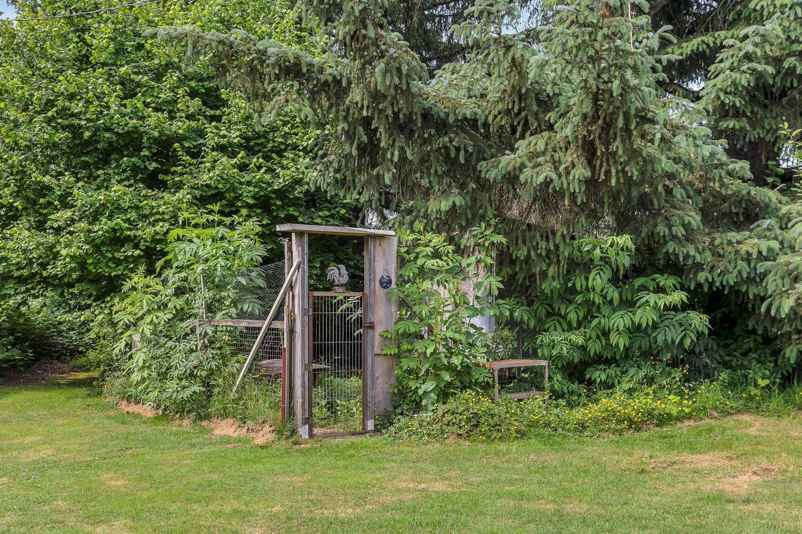 Listing Image 32