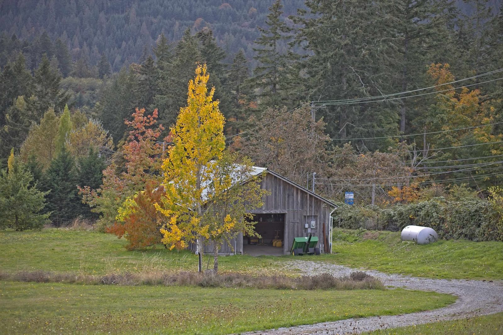 Listing Image 25