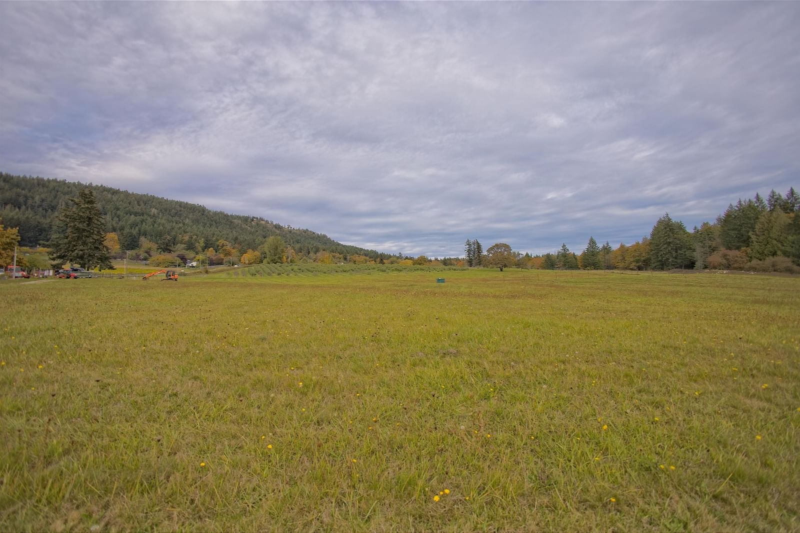 Listing Image 33