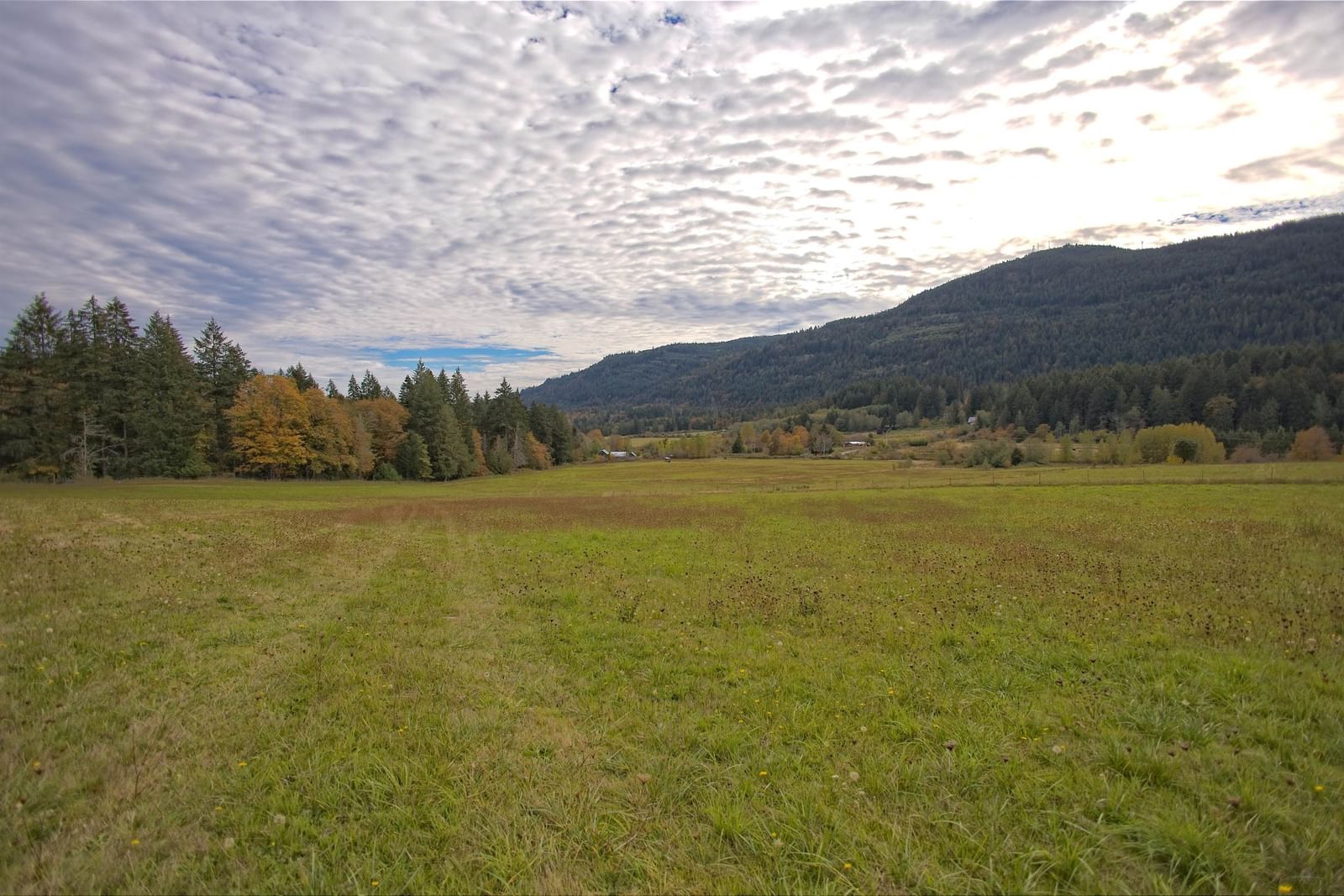 Listing Image 34