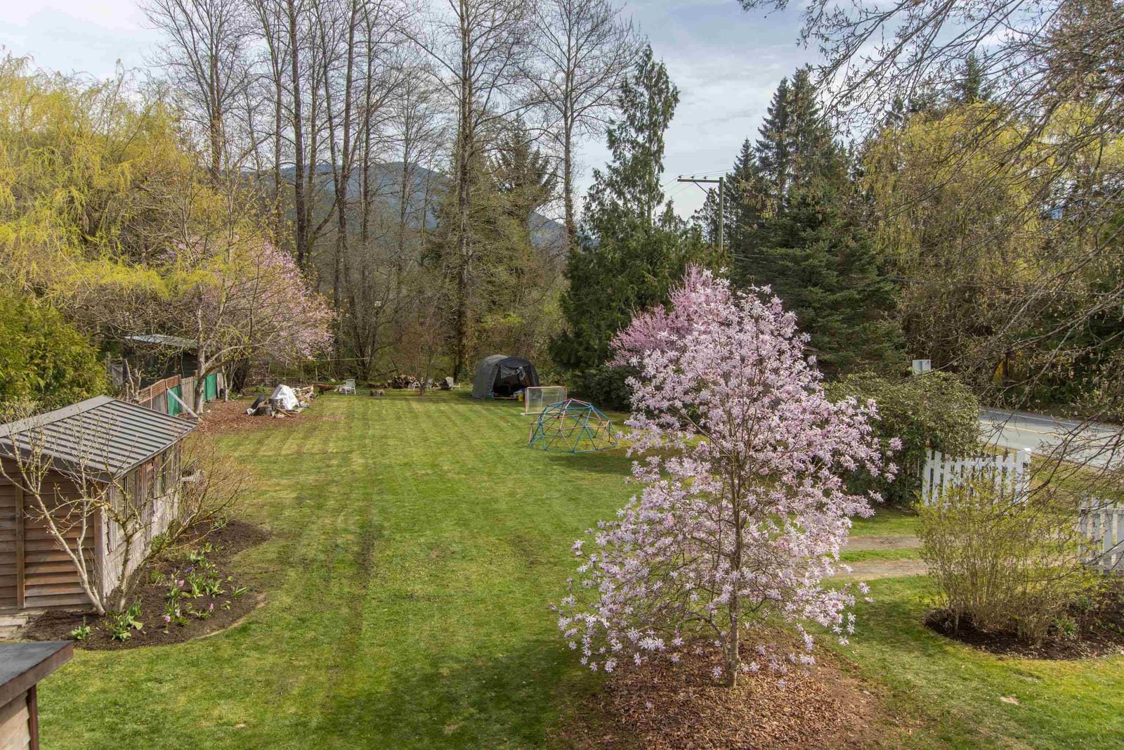Listing Image 31