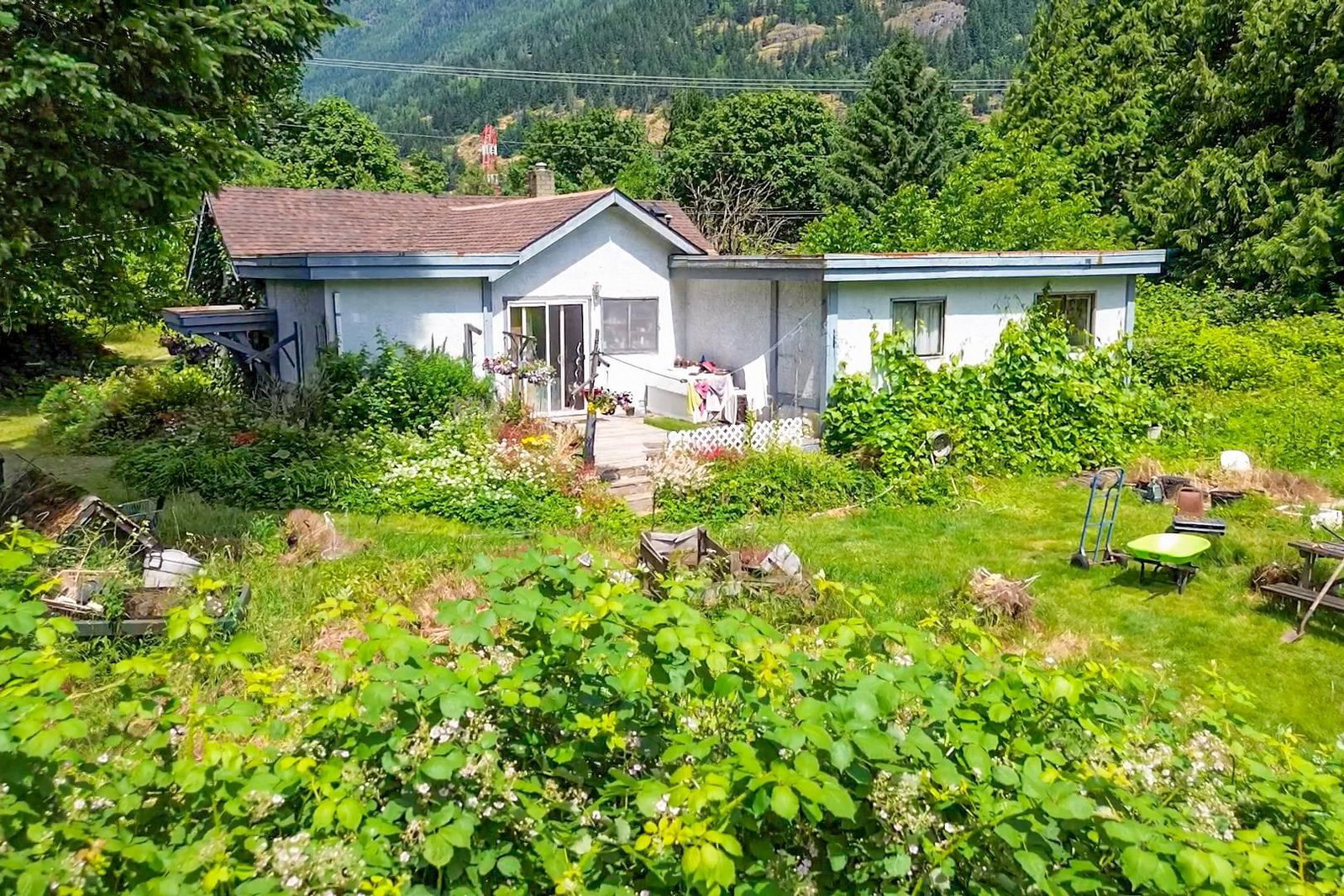 Listing Image 13