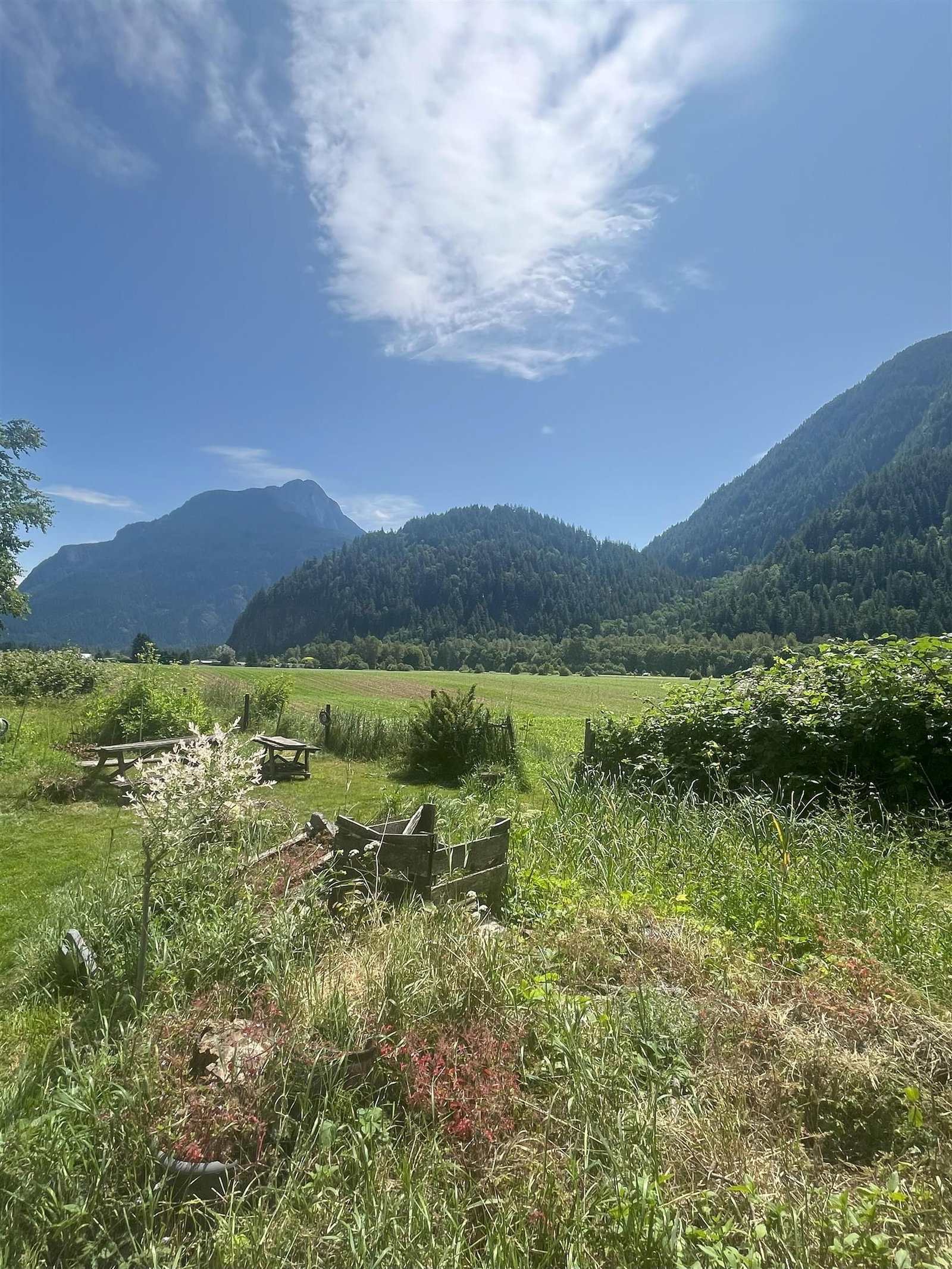 Listing Image 23