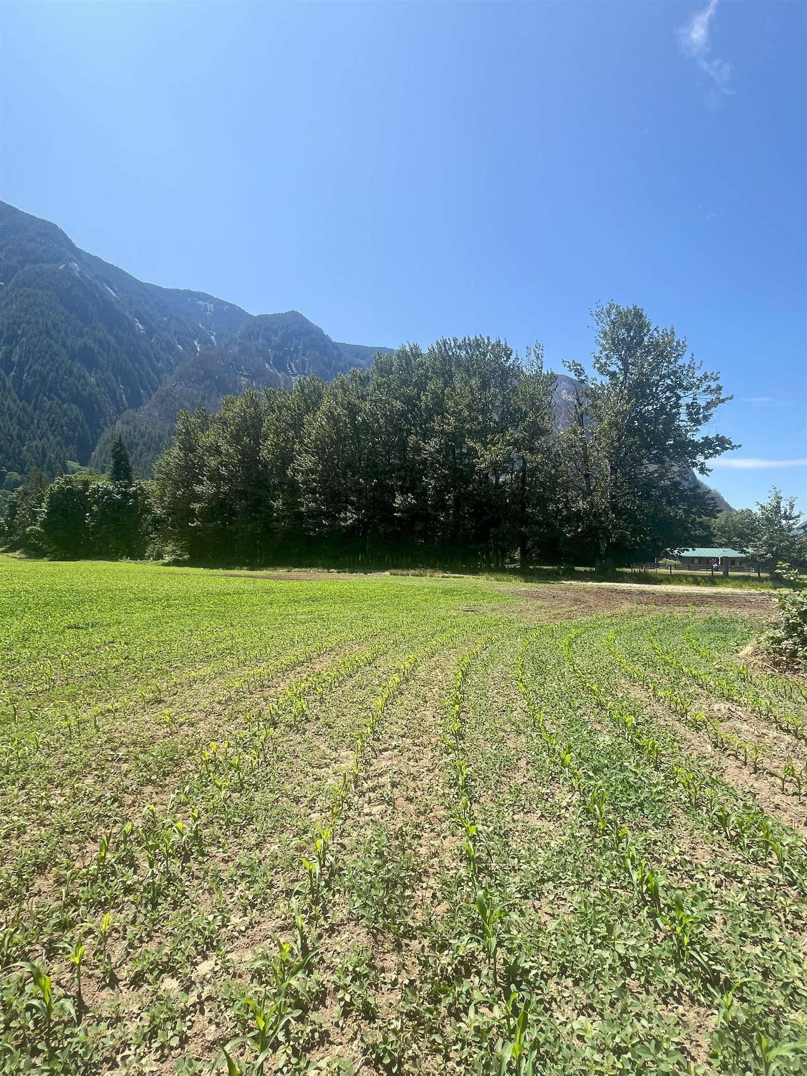 Listing Image 26