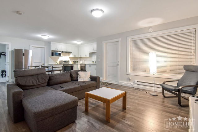 Basement - 21076 77 Avenue
