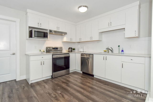 Basement - 21076 77 Avenue