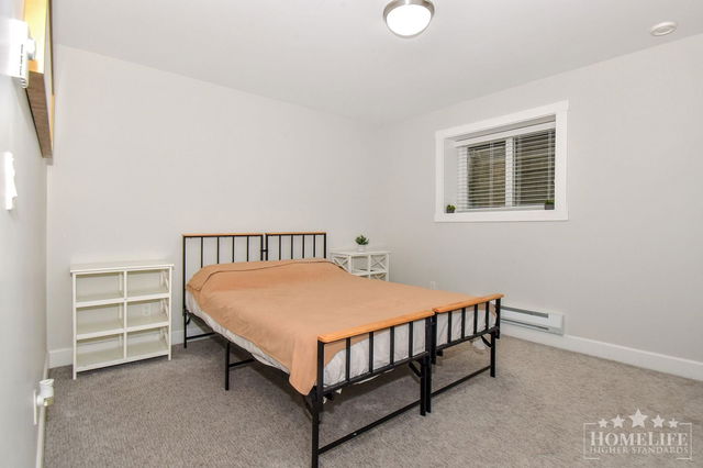 Basement - 21076 77 Avenue