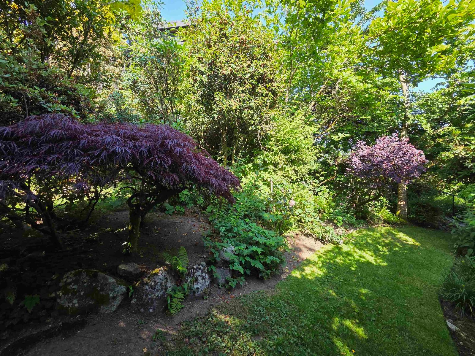 Listing Image 15