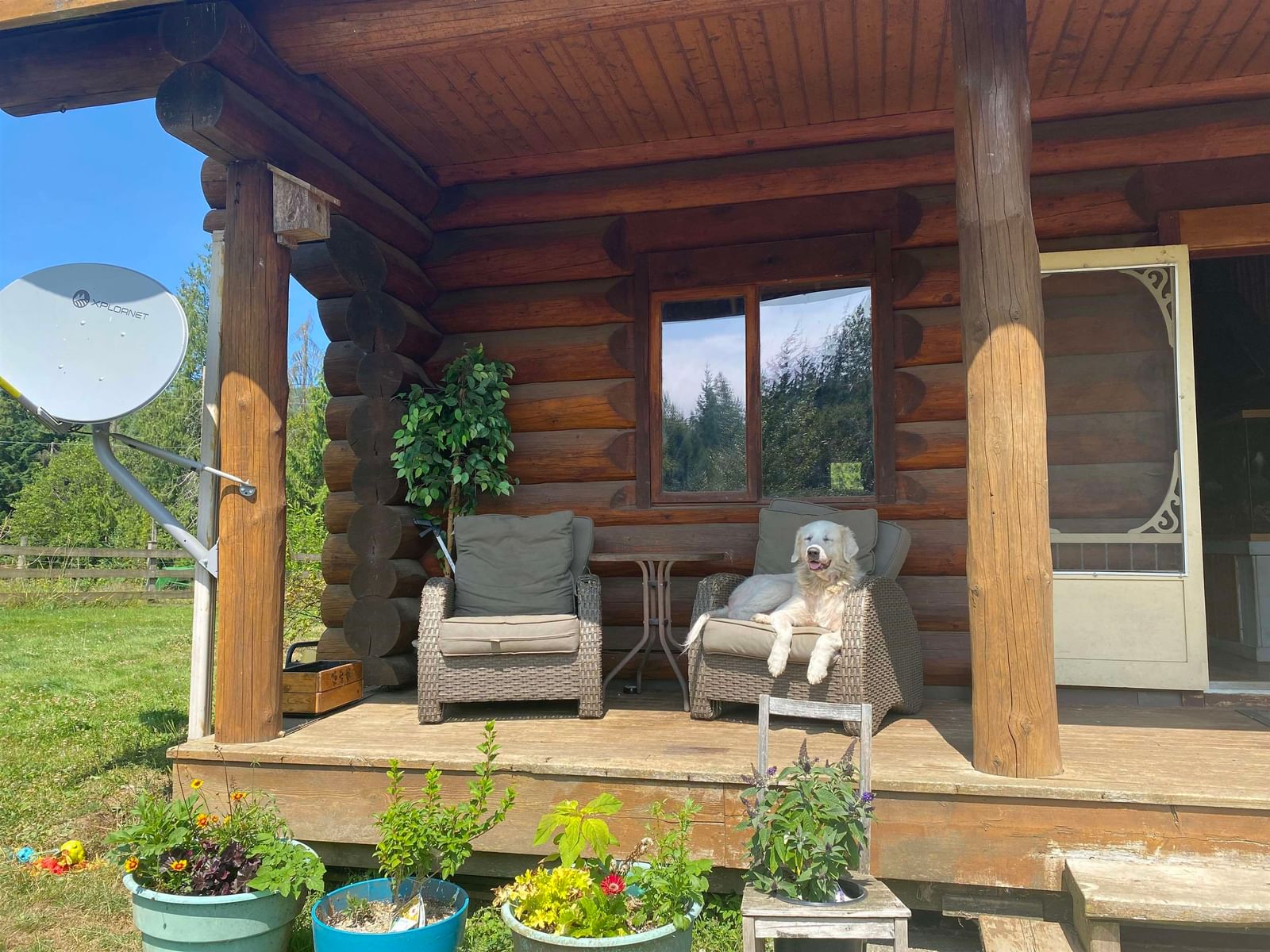 Listing Image 5