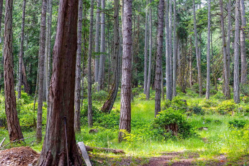 2-861 Bluff Road, Galiano Island, V0N 1P0 | Image 2