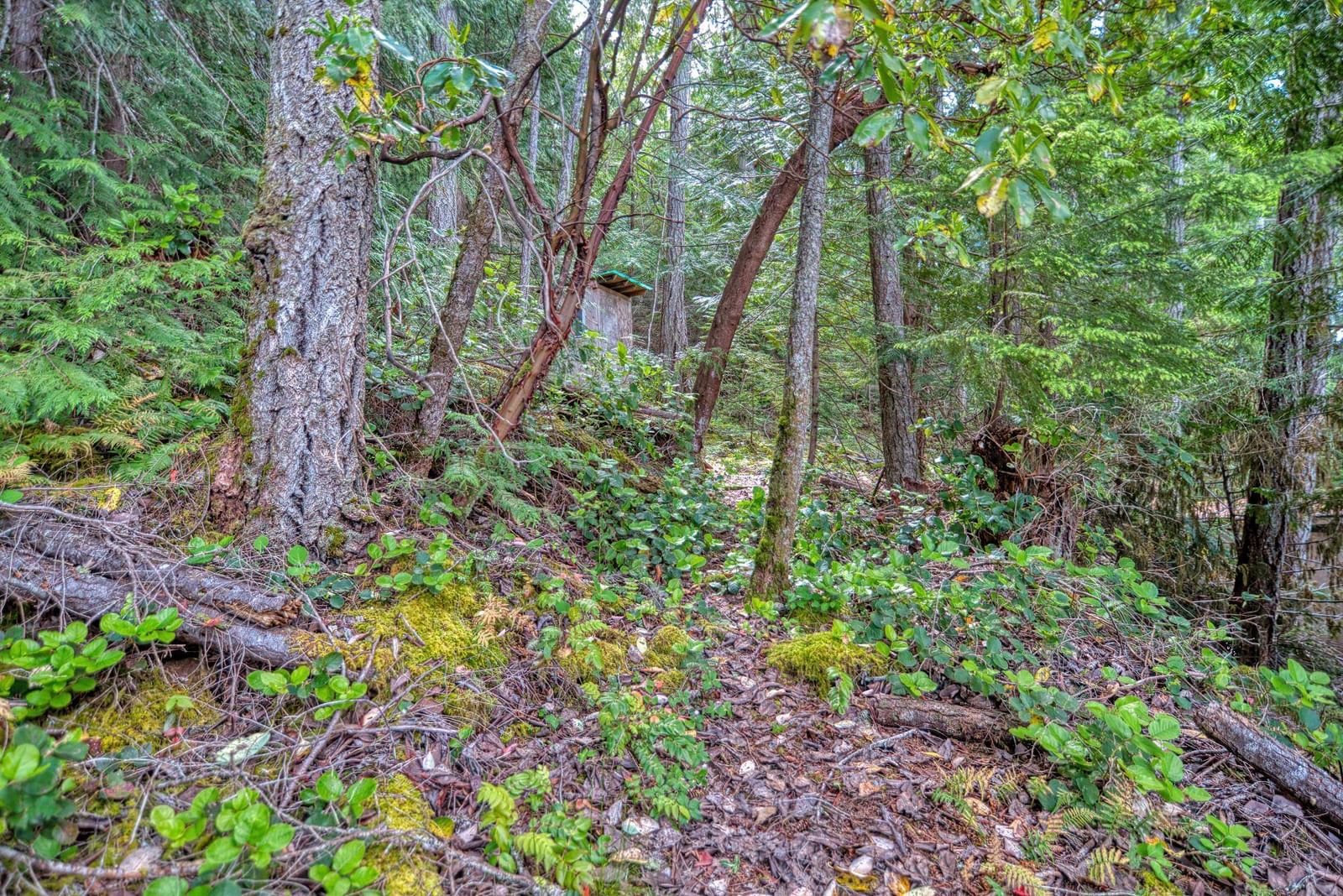 Listing Image 29