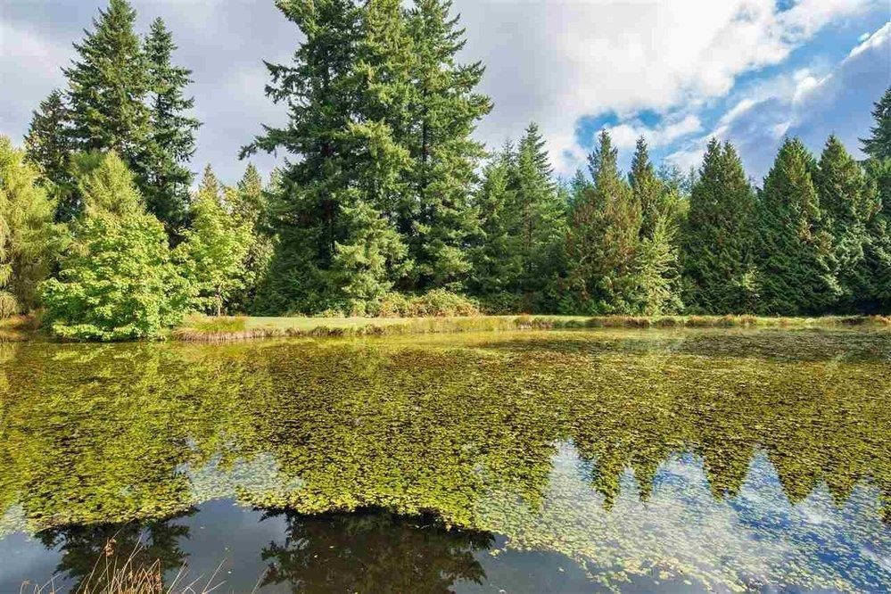 Image of home for listing MLS® R3019129