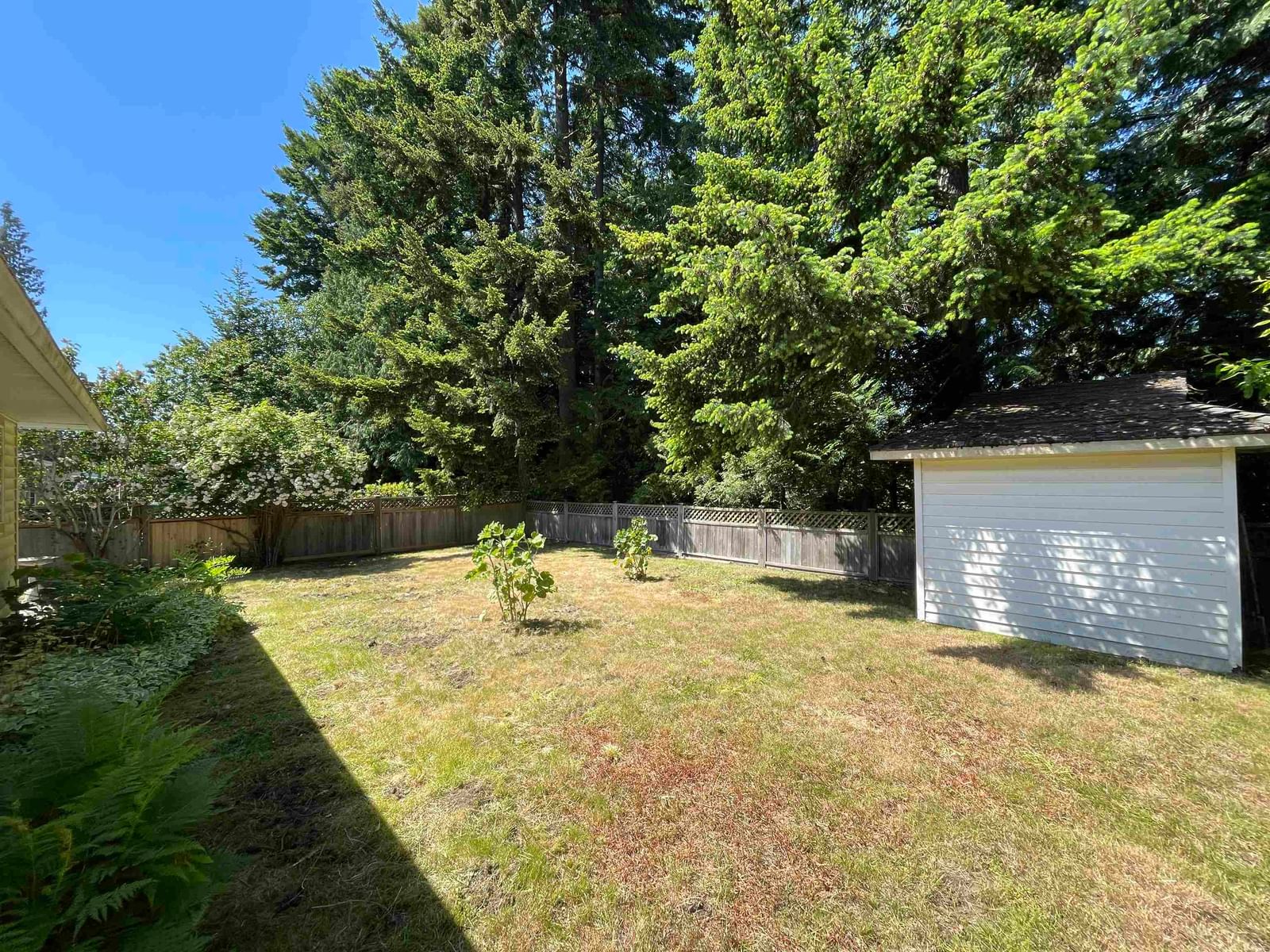 Listing Image 28