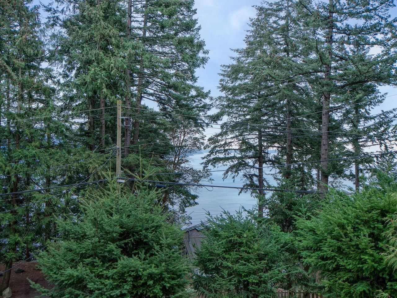 Listing Image 17