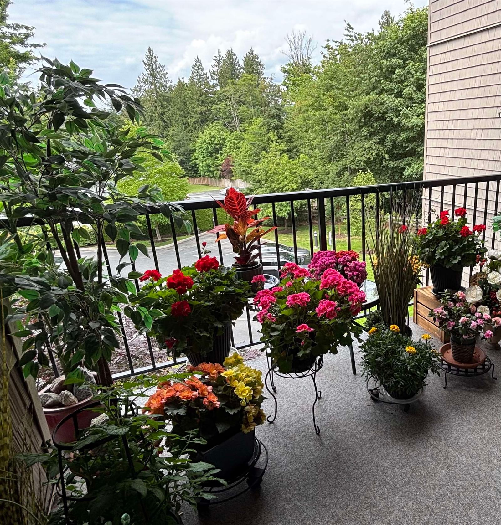 Listing Image 17