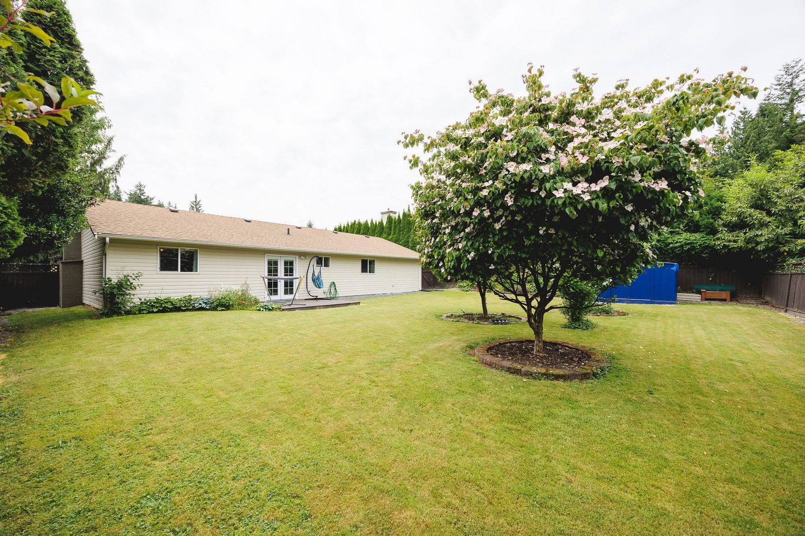 Listing Image 37