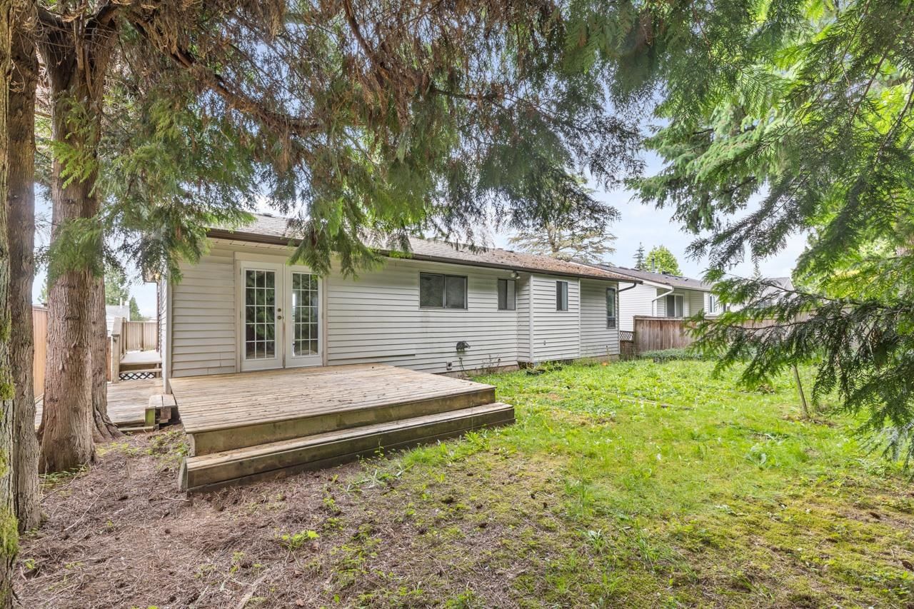 Listing Image 28