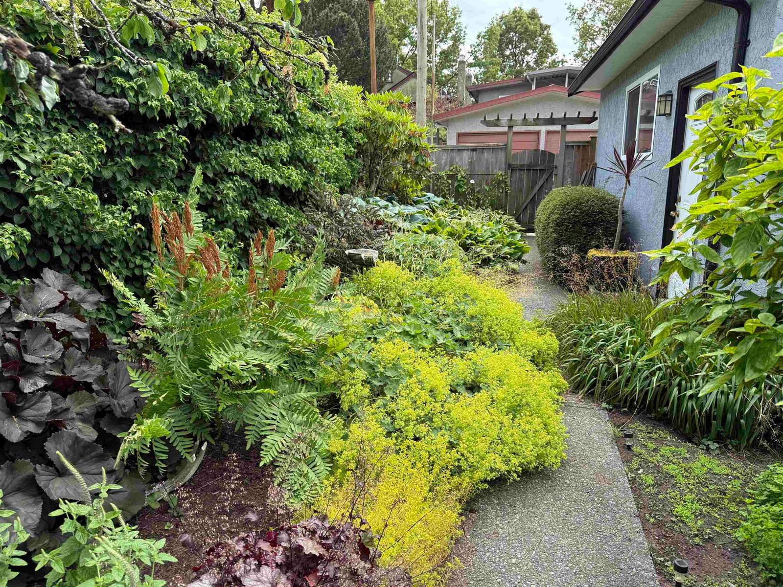 Listing Image 25