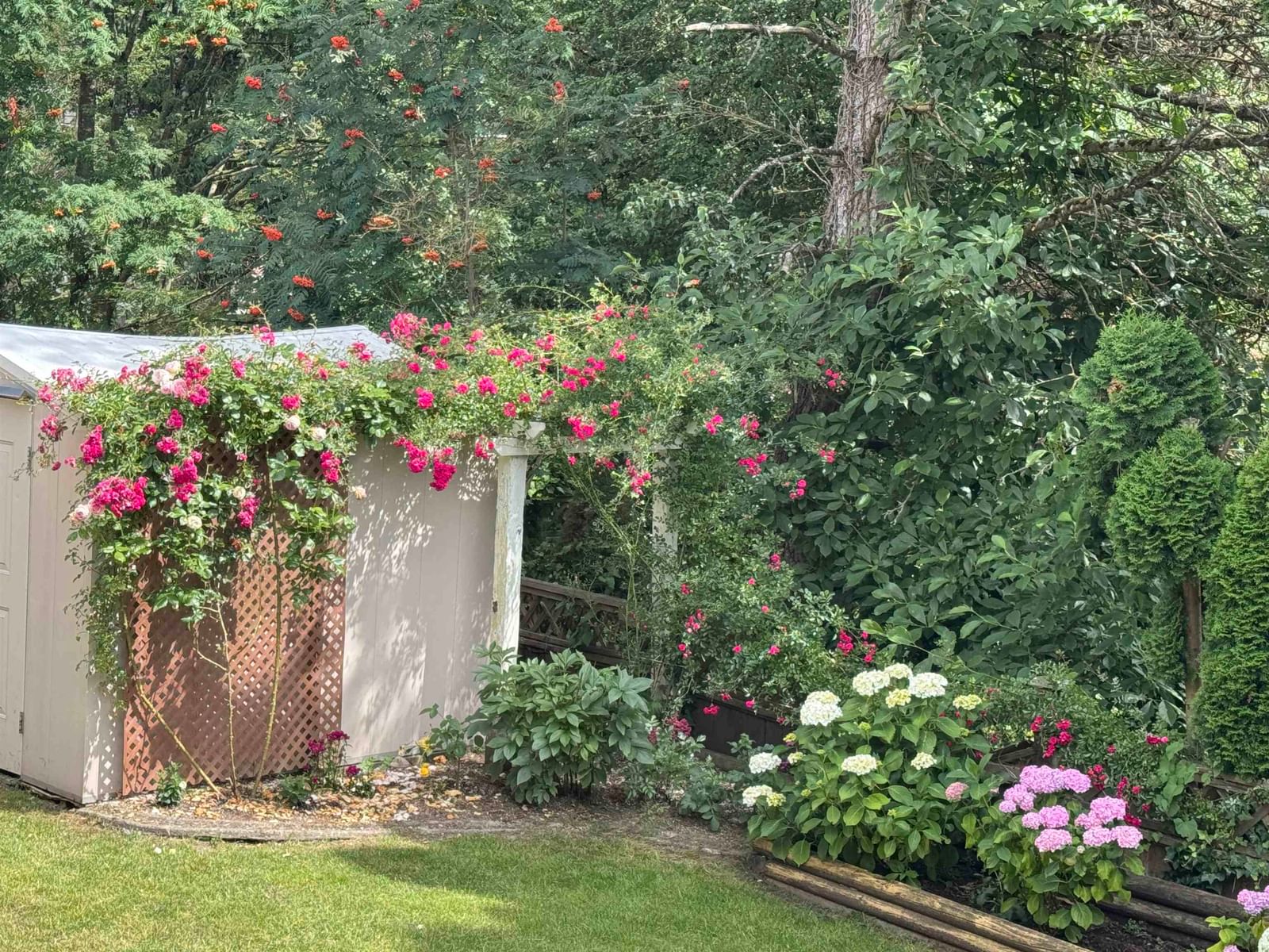 Listing Image 34