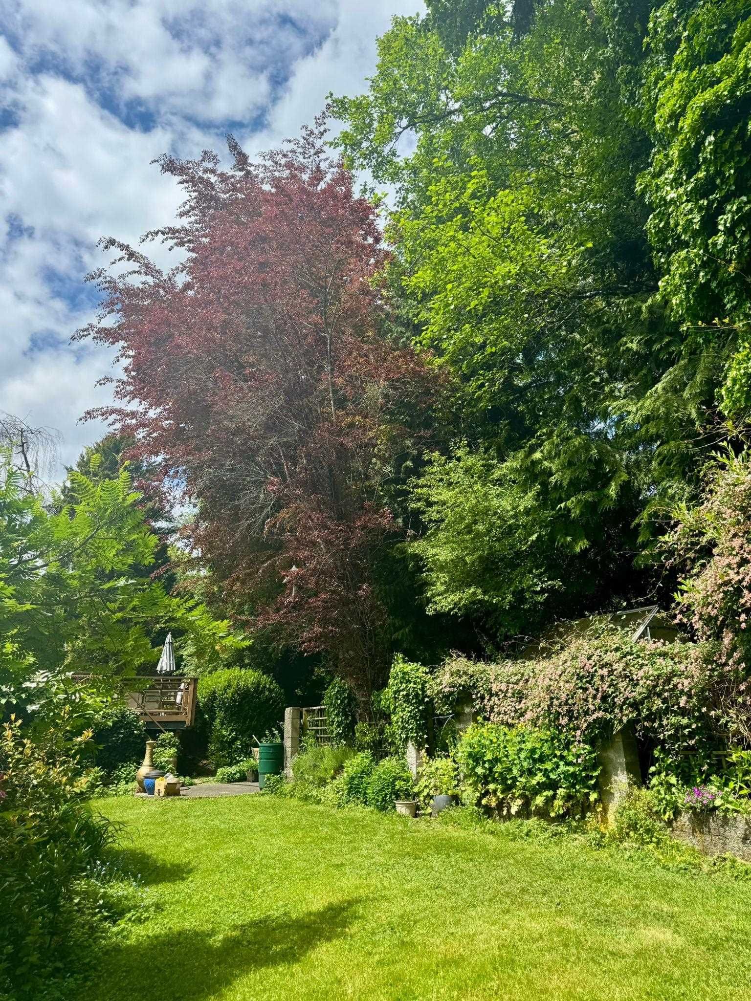 Listing Image 27