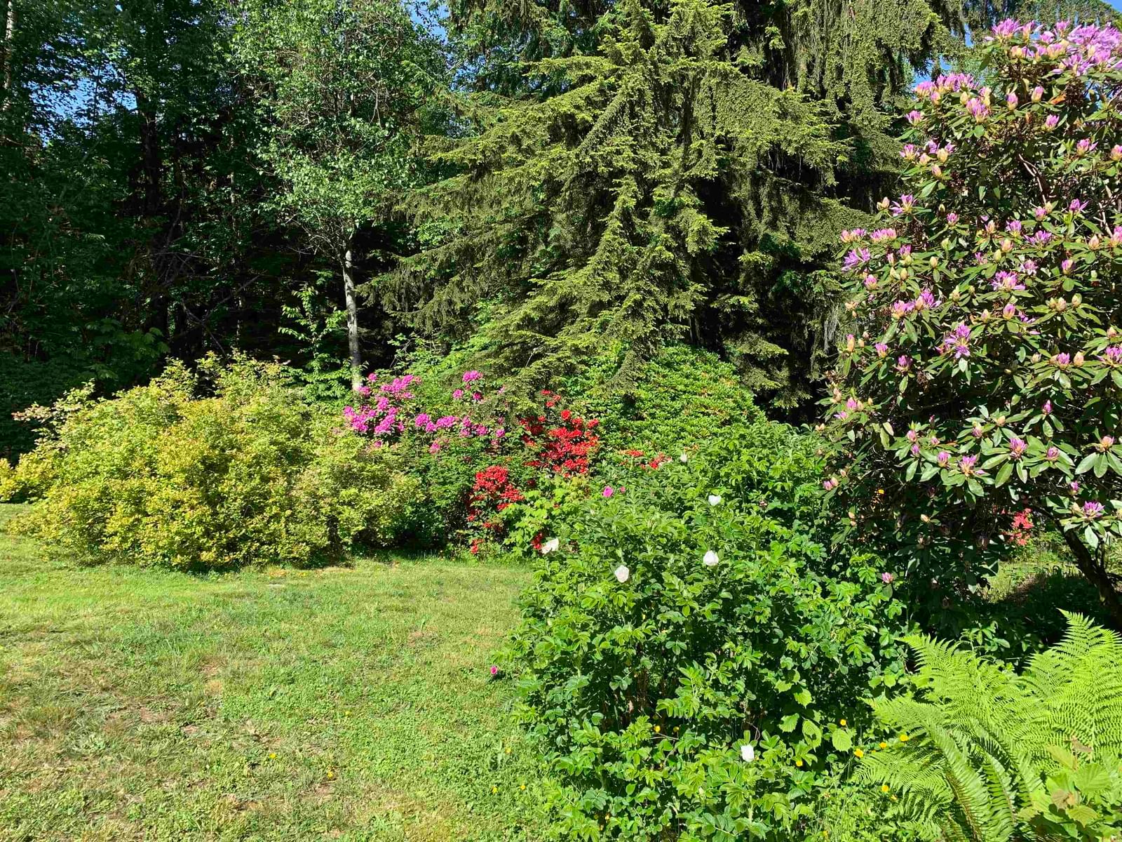 Listing Image 35