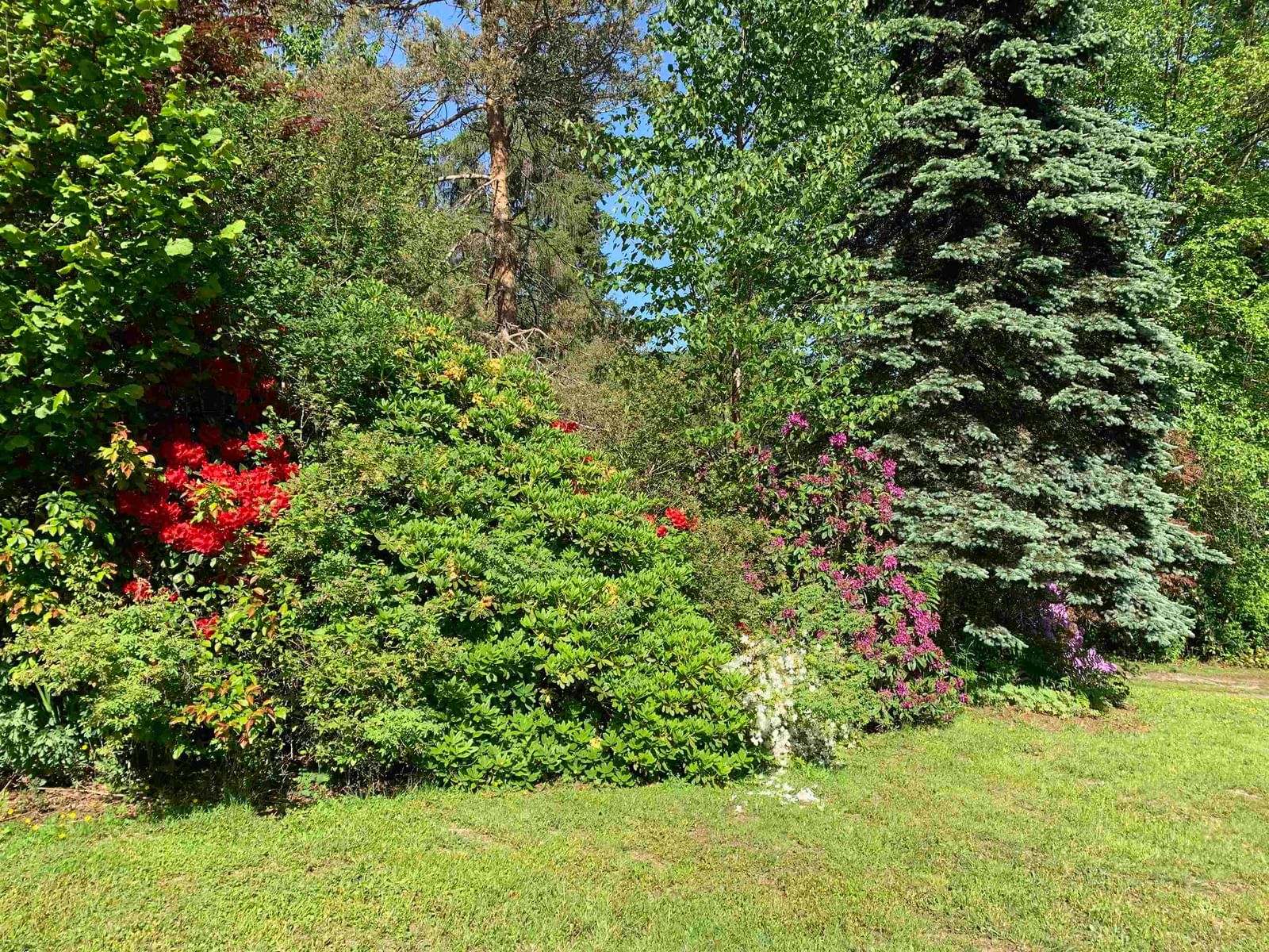 Listing Image 36