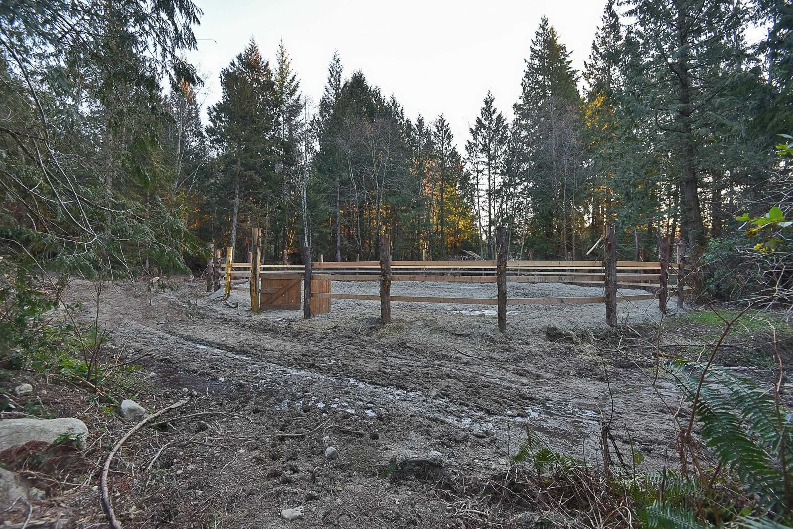 Listing Image 19