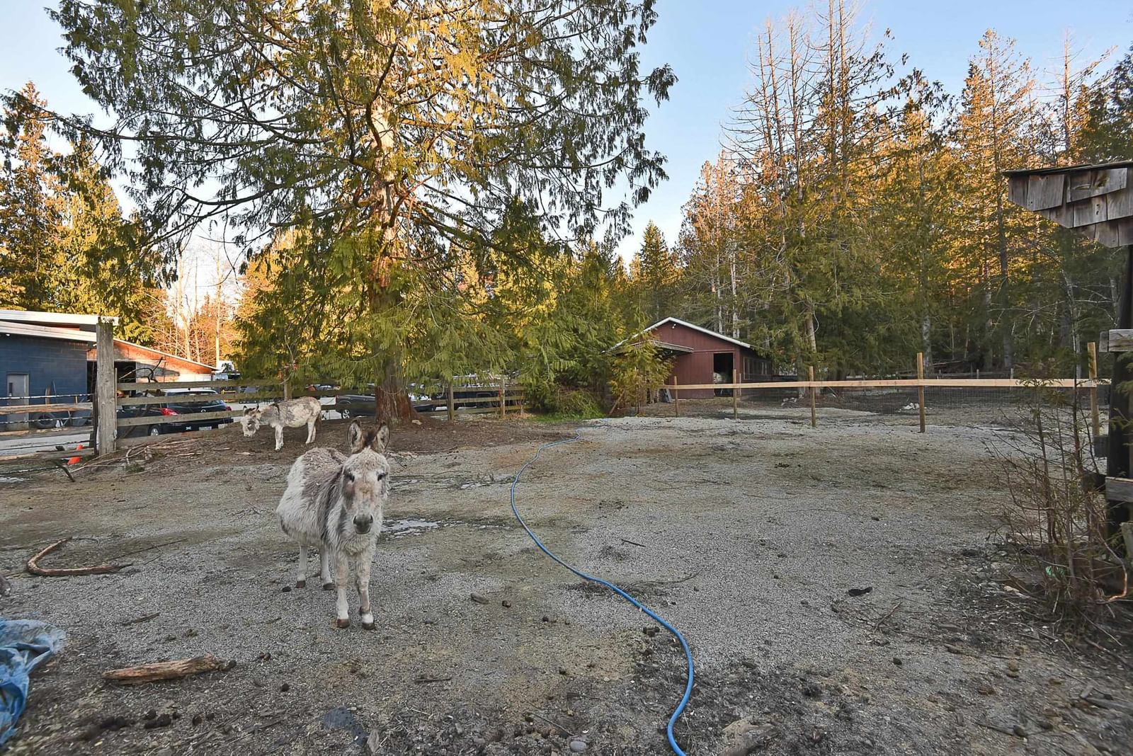 Listing Image 22