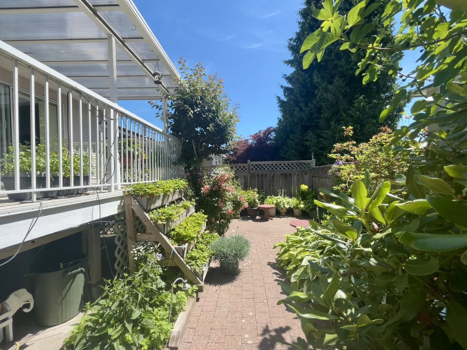 Listing Image 11