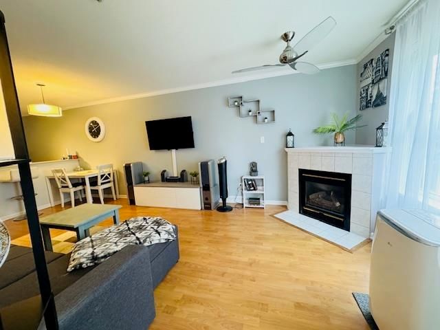 Listing Image 4