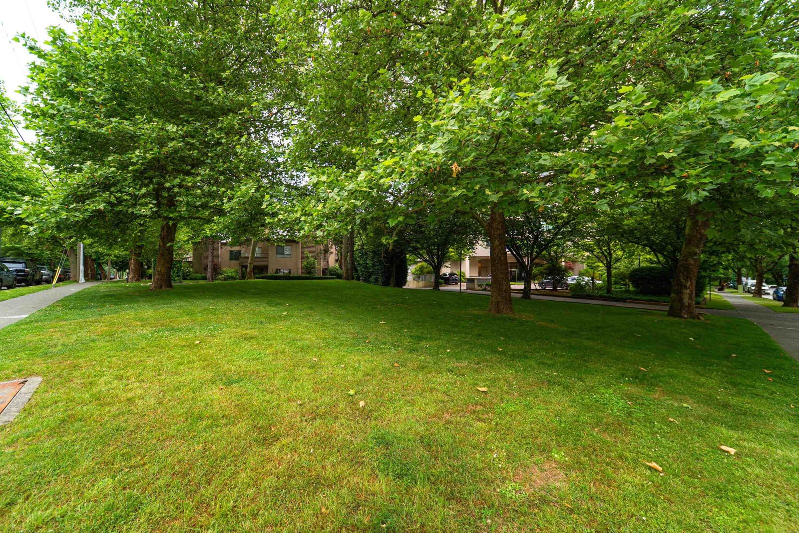 Listing Image 27