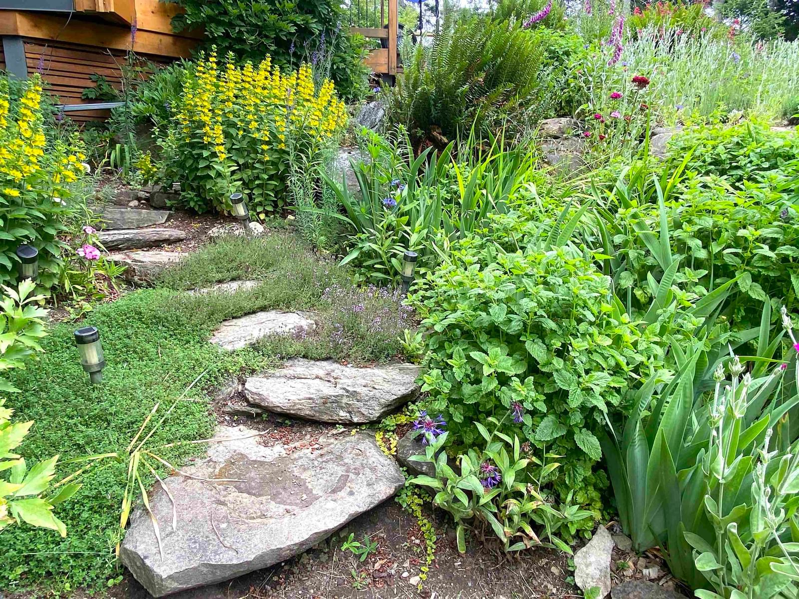 Listing Image 33