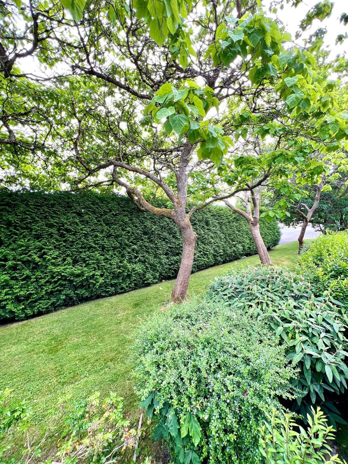 Listing Image 24