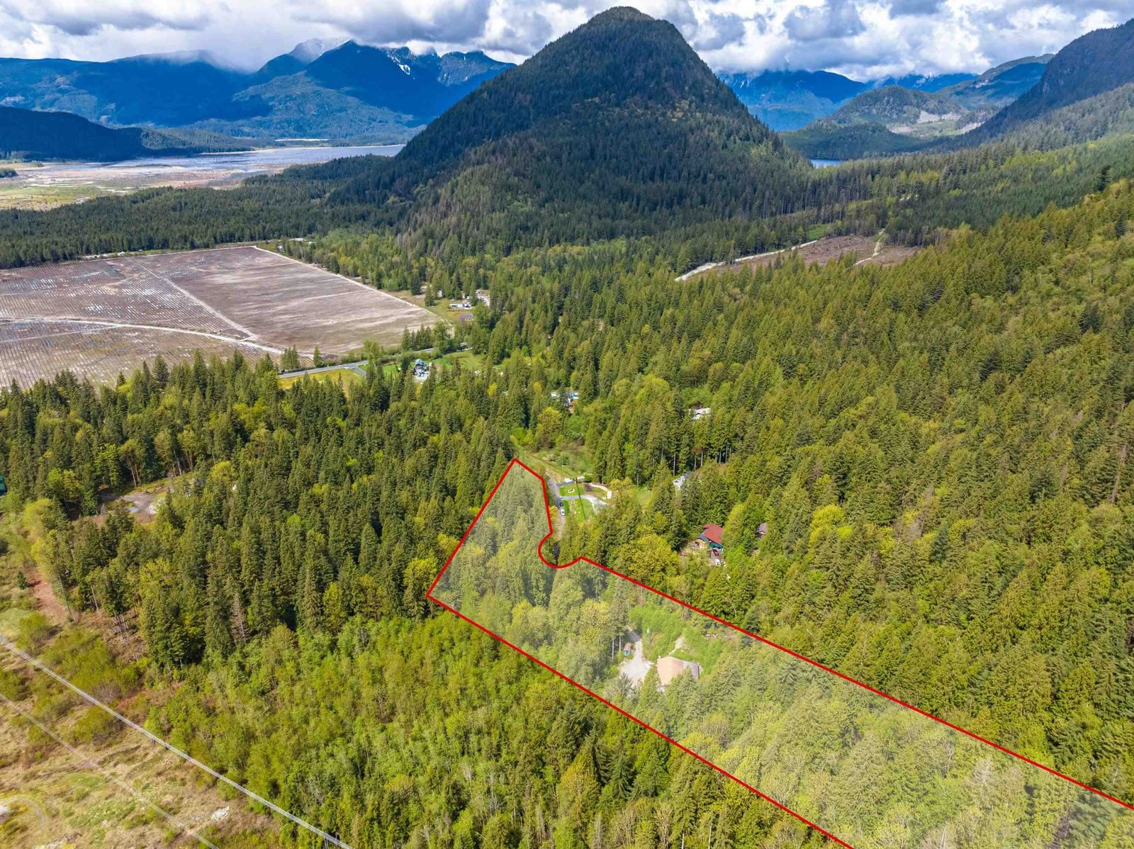 Listing Image 6