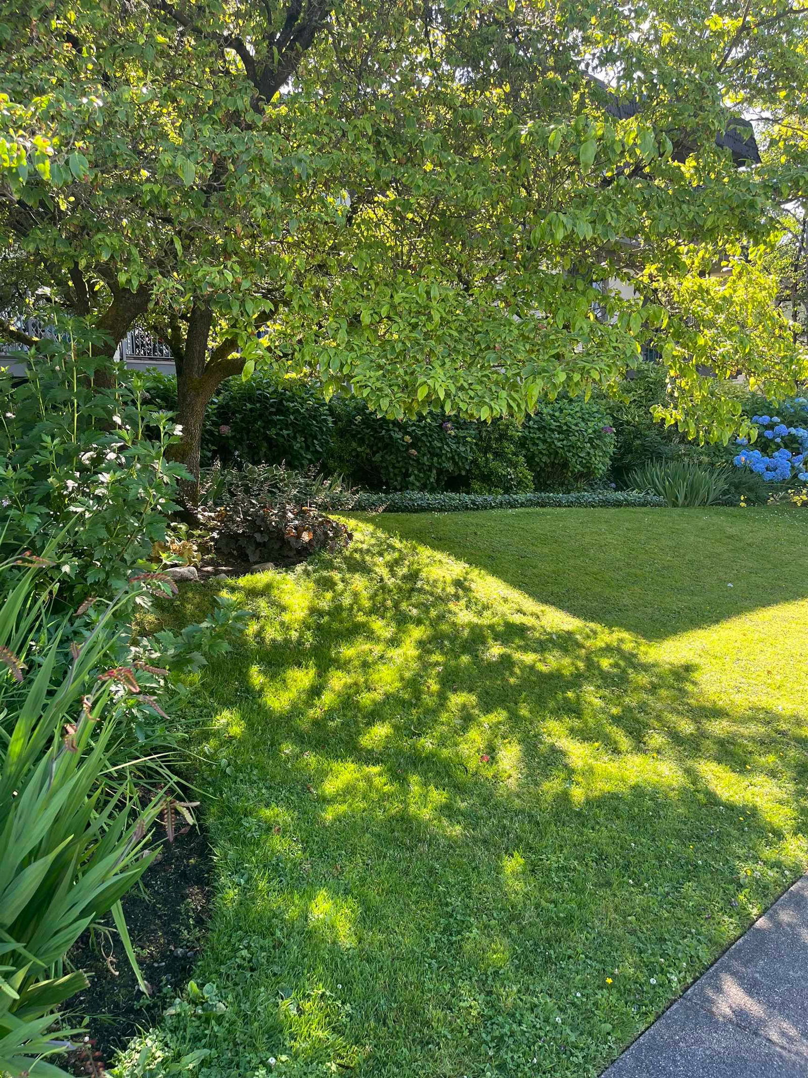 Listing Image 27
