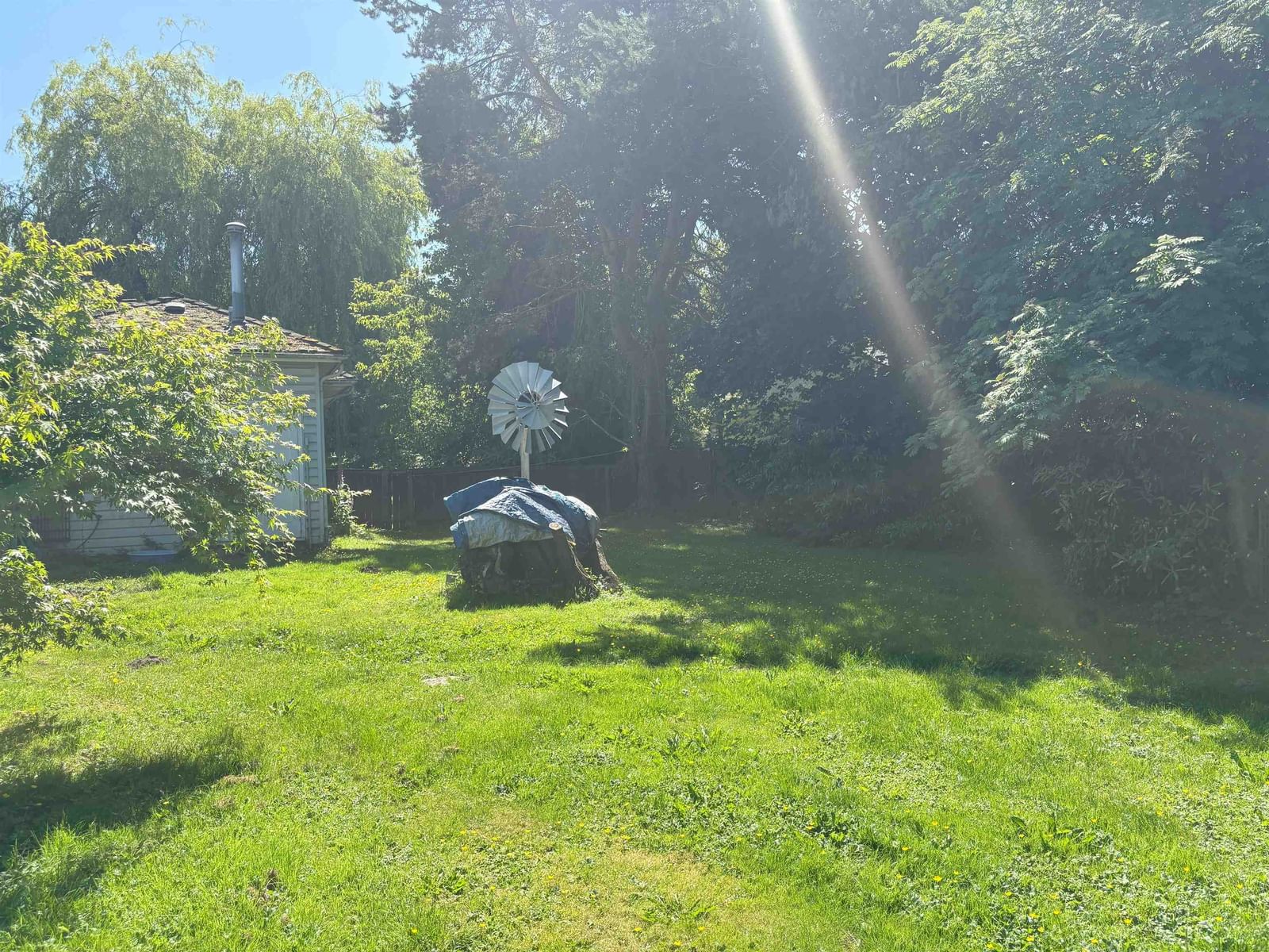 Listing Image 12