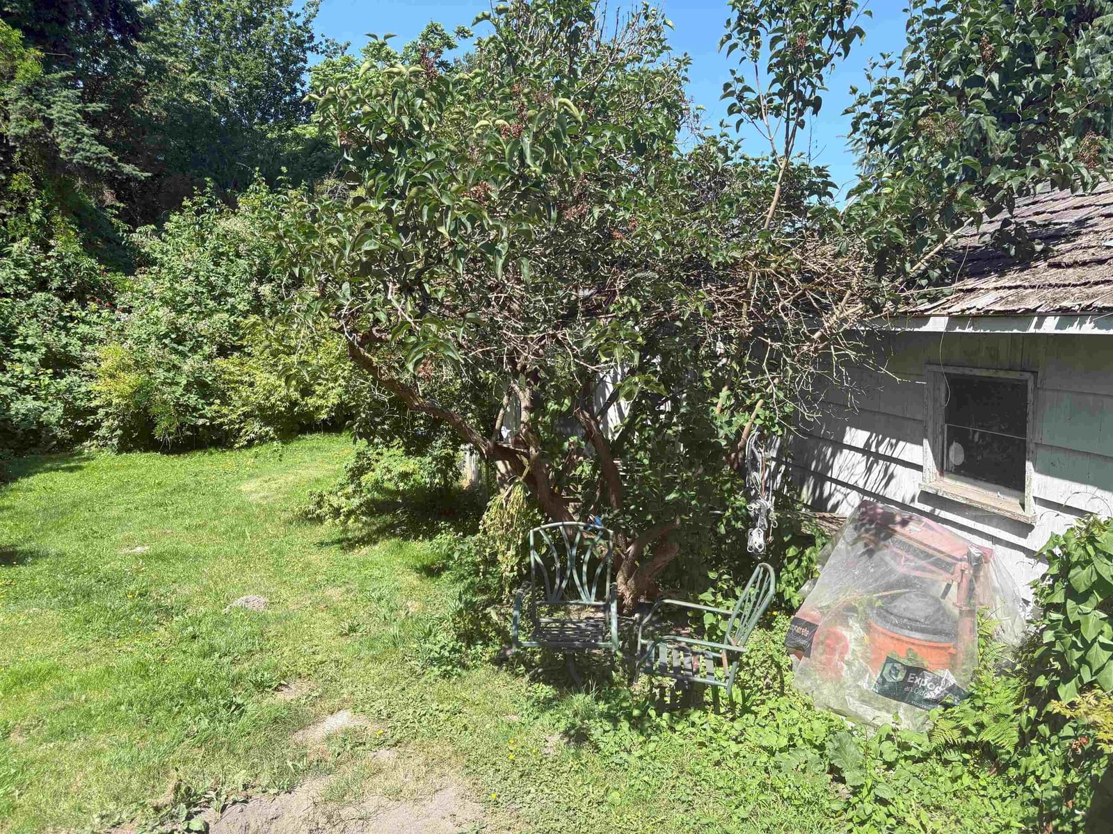 Listing Image 8